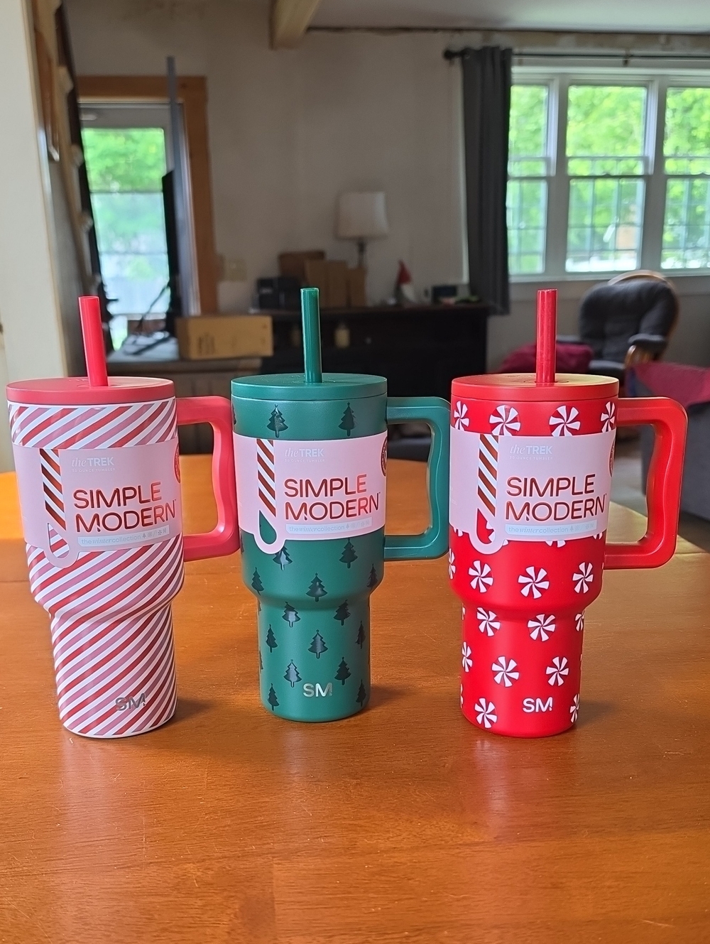 Simple Modern 30 oz The Trek Holiday Tumbler with Handle and Straw - Set of 3